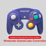 Nintendo Switch Controller